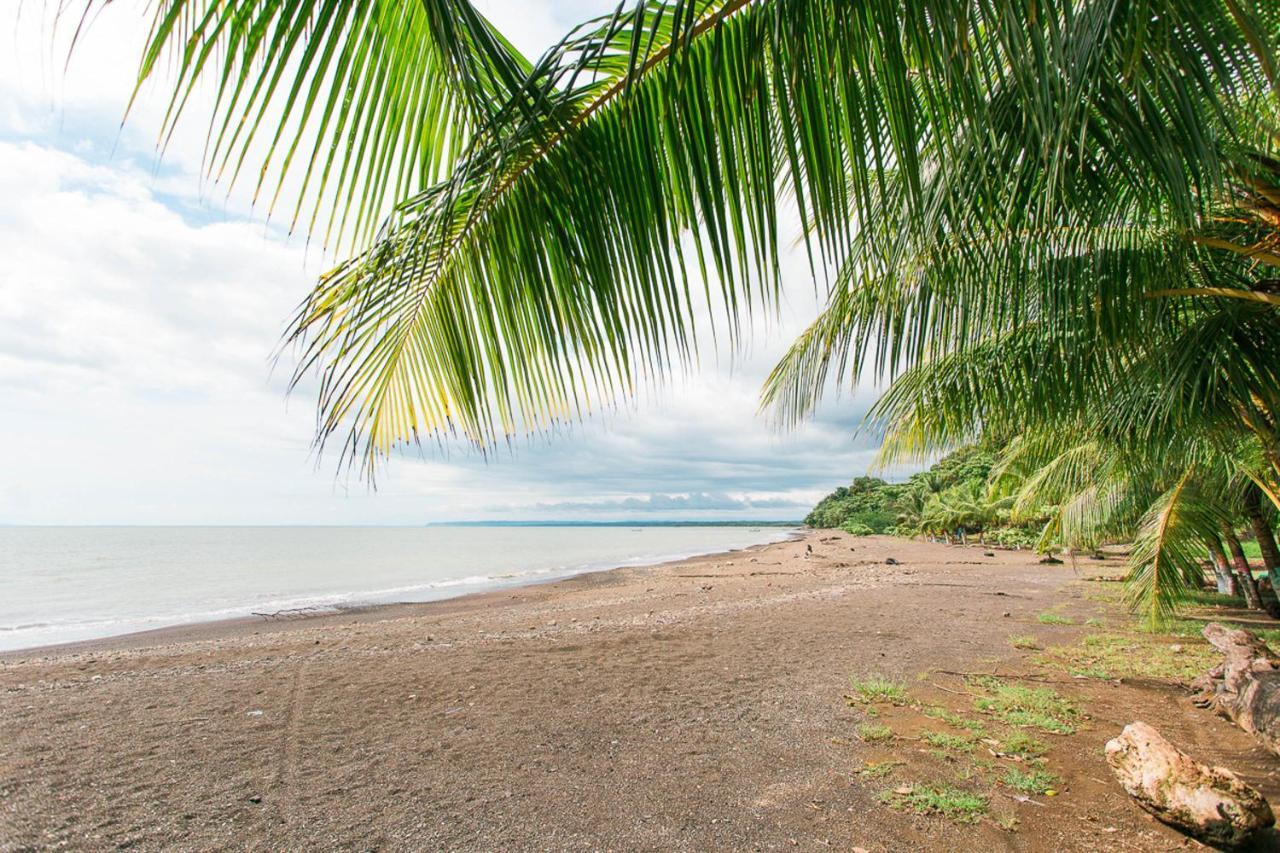 Pacific Edge Eco Lodge Dominical Εξωτερικό φωτογραφία